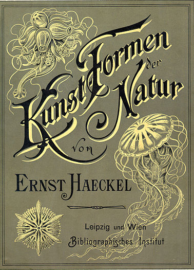 Haeckel "Artforms in Nature" cover