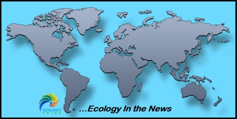 Coming Soon – Ecological stories from around the world.