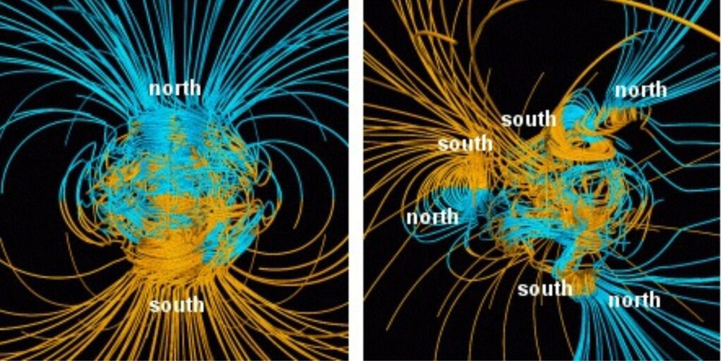 Earth's Shield of Life The Changing Field Ecology Prime